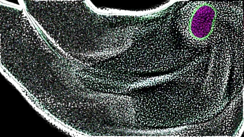 HD Abstract fractal forms morph and oscillate (Loop) Vidéo 109524569