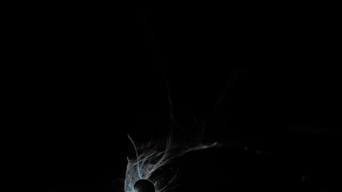 HD Abstract fractal forms morph and oscillate (Loop) Vídeos de archivo 109676157