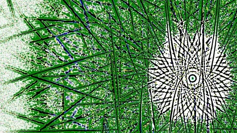 HD Abstract fractal forms morph and oscillate (Loop) Stock Footage 110629172