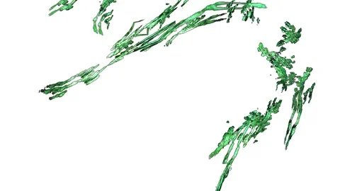 HD Abstract fractal forms morph and oscillate (Loop) 스톡 동영상 110689000