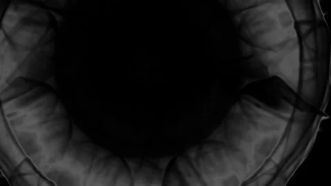 HD Abstract fractal forms morph and oscillate (Loop) Video stock 110752395