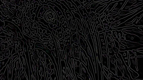 HD Abstract fractal forms morph and oscillate (Loop) Stock Footage 110812536