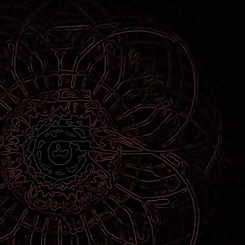 HD Abstract fractal forms morph and oscillate (Loop) Video stock 110823658