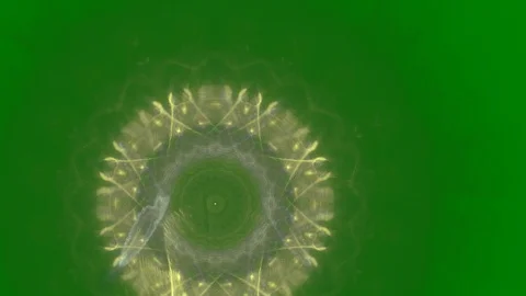 HD Abstract fractal forms morph and oscillate (Loop) Stockbeeldmateriaal 111070911