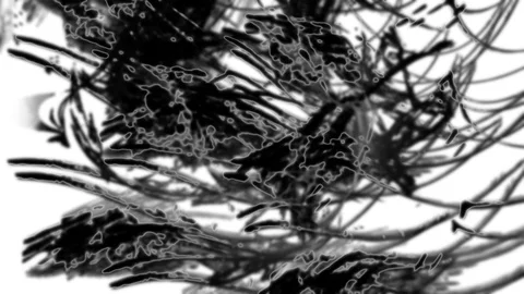 HD Abstract fractal forms morph and oscillate (Loop) 스톡 동영상 111091252