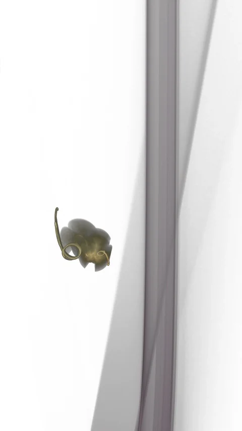 HD Abstract fractal forms morph and oscillate (Loop) 스톡 동영상 111234347