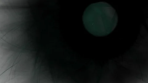 HD Abstract fractal forms morph and oscillate (Loop) Video stock 111326847