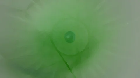 HD Abstract fractal forms morph and oscillate (Loop) Stock Footage 111889059