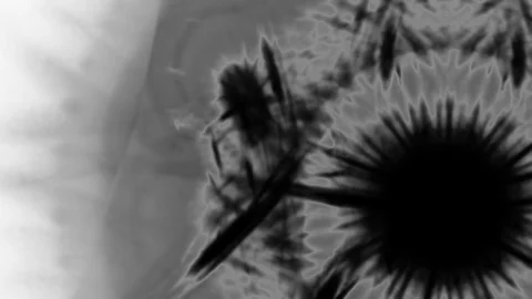 HD Abstract fractal forms morph and oscillate (Loop) Stock Footage 111904240