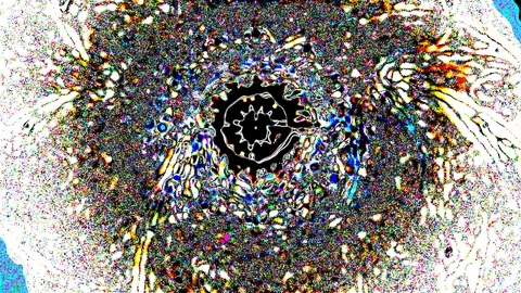 HD Abstract fractal forms morph and oscillate (Loop) Stock Footage 112056532