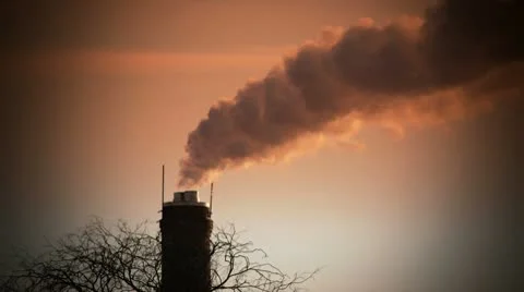 HD - Air pollution. A dead tree and smoke stack Stock Footage 10728398