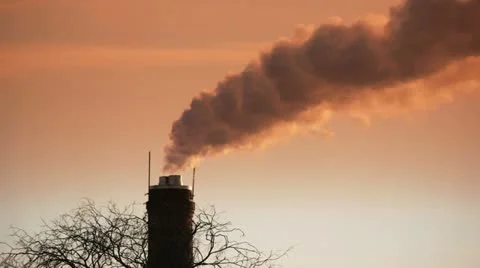 HD - Air pollution. A dead tree and smoke stack Video stock 11276831