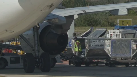 HD Airport ground support - workers move luggage from belt to luggage cart V4 Stock Footage 120136022
