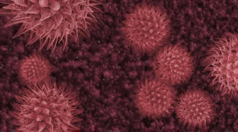 HD - Animation of Virus (Loopable) Stock Footage 918897