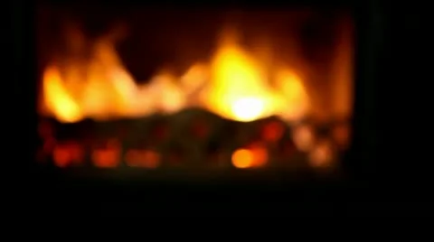 HD - Beagle Stock Footage 10773123