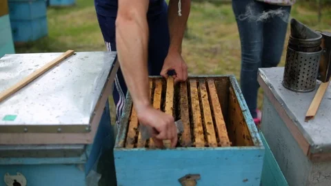 HD Beekeepers takes out a frame of honeycomb out of beehouse Stock-Footage 97525273