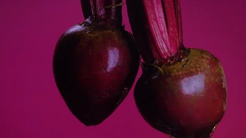 HD BEETS DETAIL Stock Footage