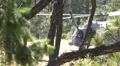 HD blackhawk rises-hovers-takes off behind trees w sound HD Footage
