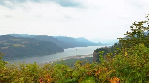 HD Boom up with autumn colored hedges in foreground and the Vista House on Video stock 231495872