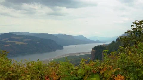 HD Boom up with autumn colored hedges in foreground and the Vista House on Video stock 231496040