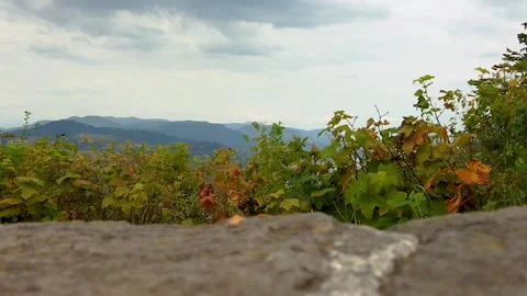 HD Boom up past stone wall and autumn colored hedge to reveal the Vista Video stock 231495950