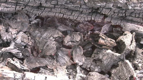 HD Burning Firewood Stock-Footage 742267