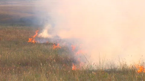 HD Burning meadow  Stock Footage 596882