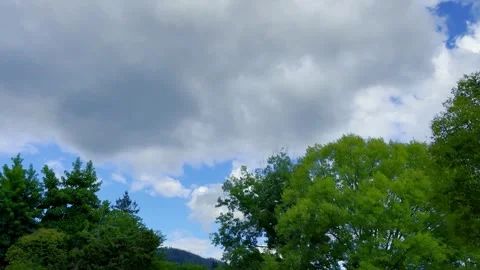 HD California Clouds and Trees Time Lapse Video Stock Footage 267927046