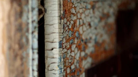 HD Close up macro shooting of ring bark of birtch 库存影片 97525223