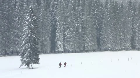 HD: Couple Hiking In Winter Video stock 10288141
