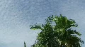 HD Cumulus Clouds HD Footage