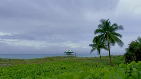 HD Delray Beach Florida Clouds Time Lapse Video Stock Footage 267777382