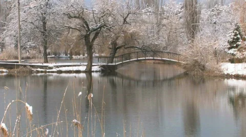HD Desolate winter scene in Park Stock-Footage 741890