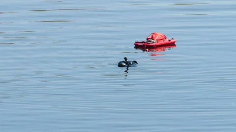 HD - Diver at work. scene01 Video stock 37606909