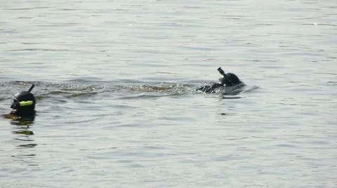 HD - Divers. Search operation Stock-Footage 10904145