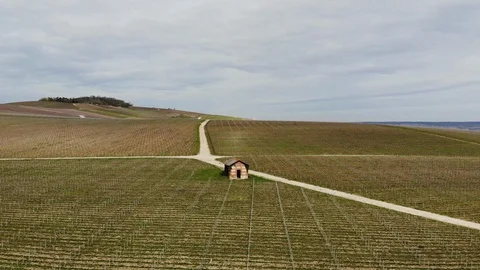 HD Drone flight over a small house in the middle of vineyards in the Champagne Stock Footage 119344422