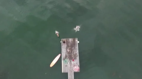 HD | Drone of People Jumping Off Dock Stock Footage 66302138