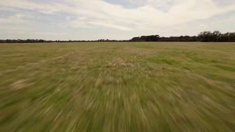 HD Drone shot going fast and close to the ground in a field Stock Footage 163186062