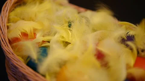 HD - Easter Eggs. scene 02 Stock Footage 10855079