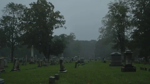 HD EXT DUSK handheld cemetery with trees in the rain Stock Footage 73803020