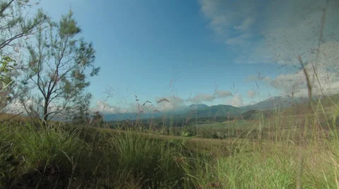 HD FieldTimelapse6Sec 01 Stock Footage 38286661