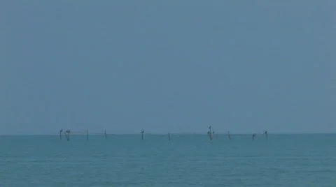 HD fishnet in the sea Stock-Footage 479830