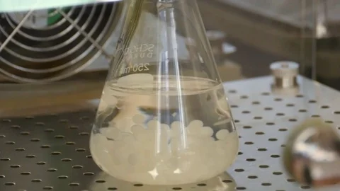 HD. Flask stirring on a tray stirrer with a solution inside Stock Footage 78110120
