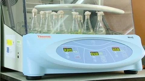 HD. Flasks on a shaker Stock Footage 78110202