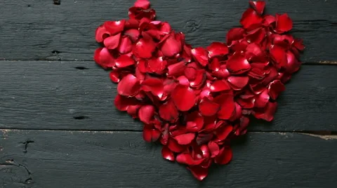 HD footage, Dolly Red rose petals heart shape on black background Stock Footage 59556394