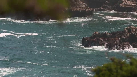 HD Footage of Point Lobos State Natural Reserve Stock Footage 317341548