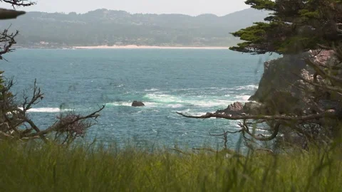 HD Footage of Point Lobos State Natural Reserve Stock Footage 317341554