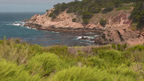 HD Footage of Point Lobos State Natural Reserve Stock Footage 317341580