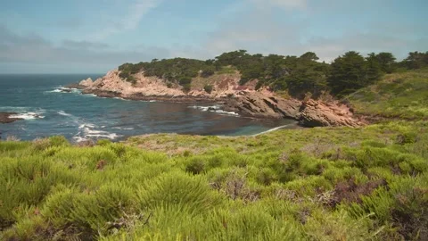 HD Footage of Point Lobos State Natural Reserve Stock Footage 317341606