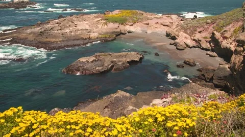 HD Footage of Point Lobos State Natural Reserve Stock Footage 317341607